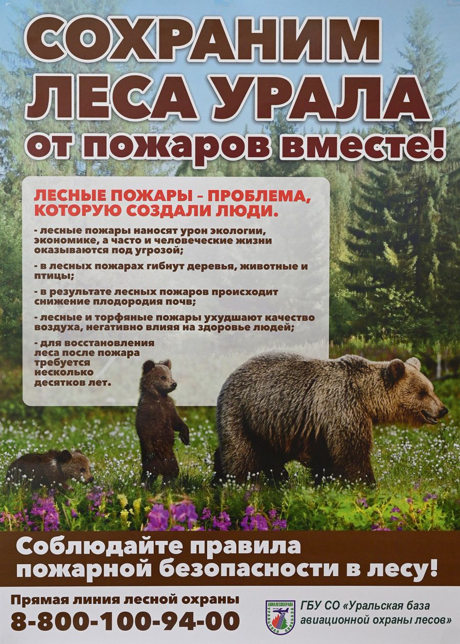 Локализованы природные пожары в Невьянском и Режевском лесничествах |  05.05.2023 | Екатеринбург - БезФормата